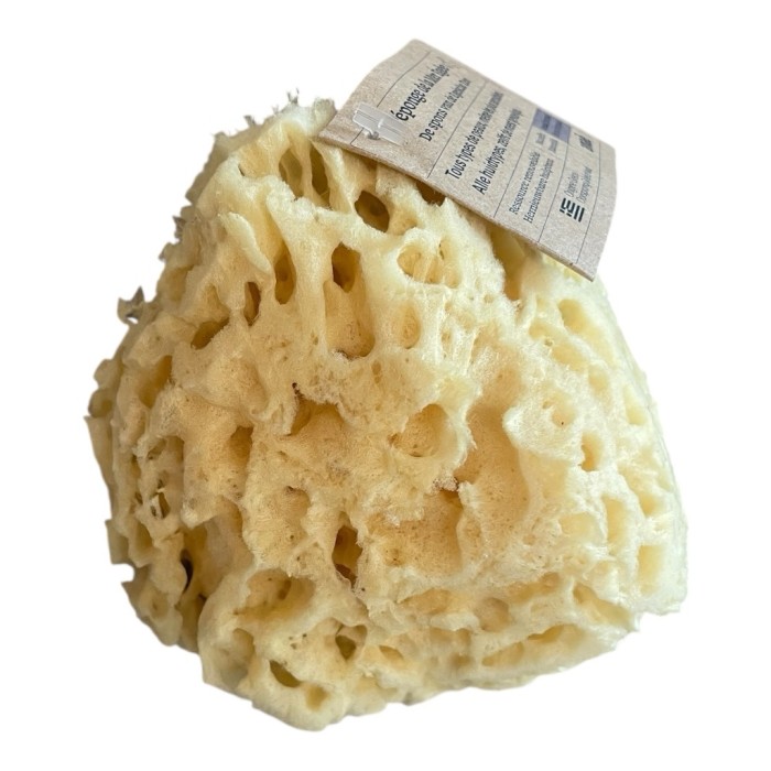 Spugna naturale marina per detergere viso e corpo; una volta bagnata diventa morbida e assorbente
