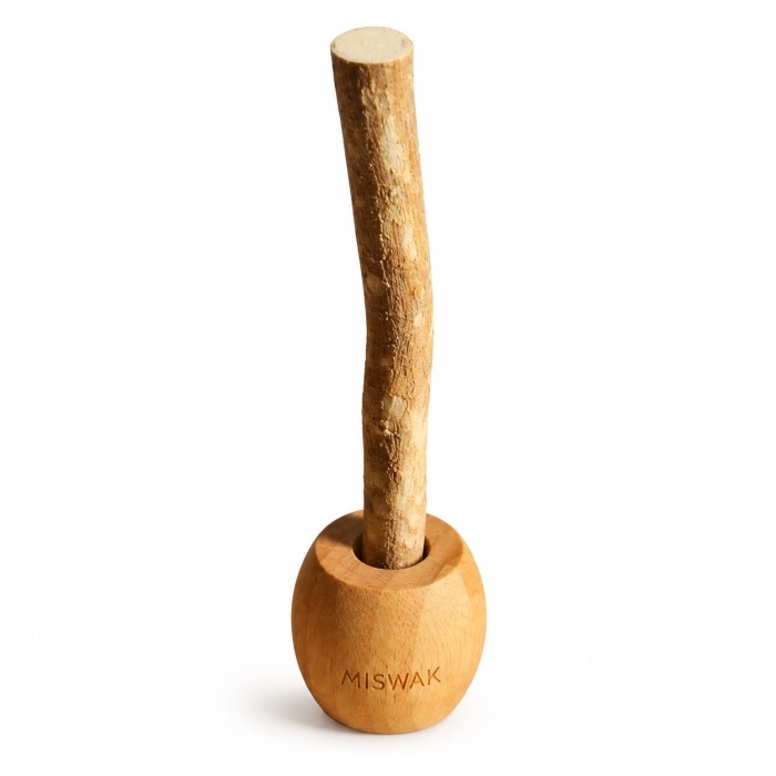 Siwak Miswak in Salvadora persica – un bastoncino
